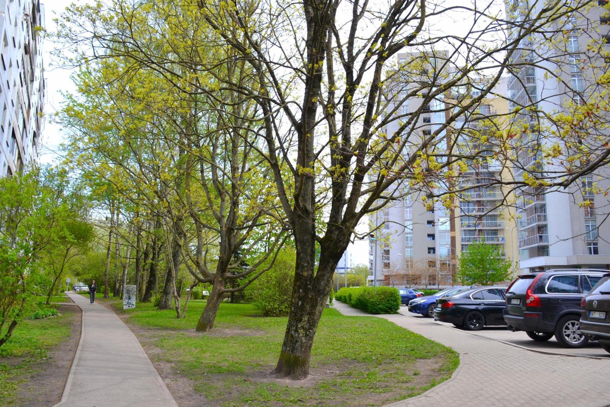 Imanta Apartment Riga Иманта 2х комн квартира Экстерьер фото